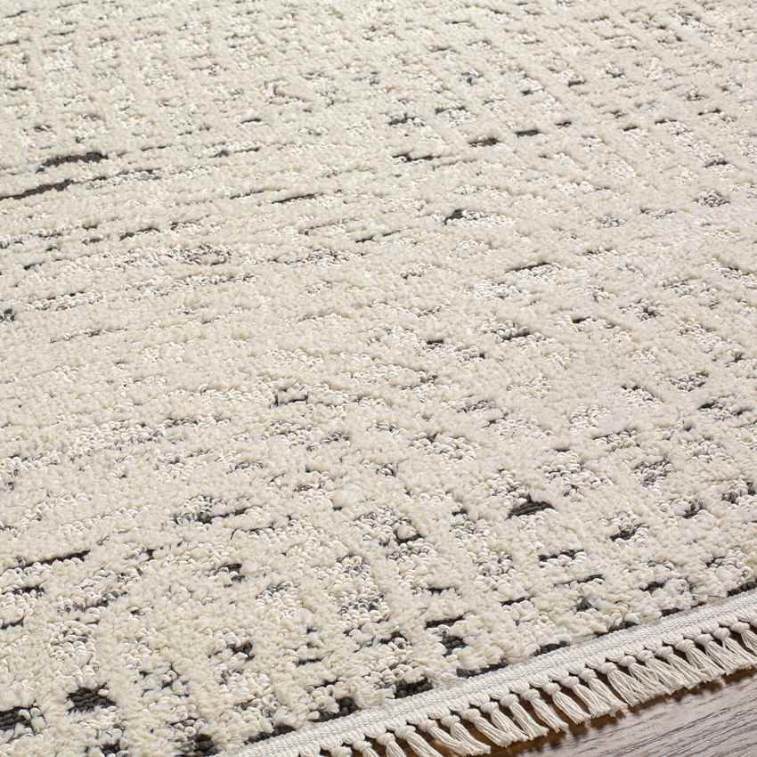 Cloverport Modern Ivory Area Rug