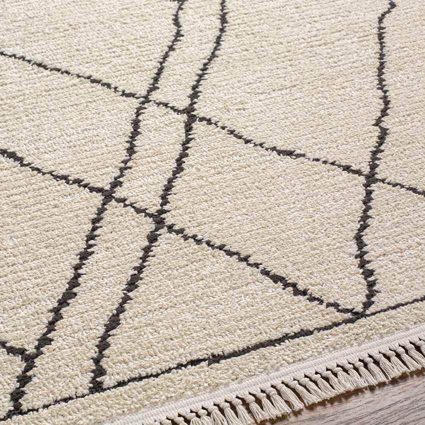Conesville Global Ivory Area Rug