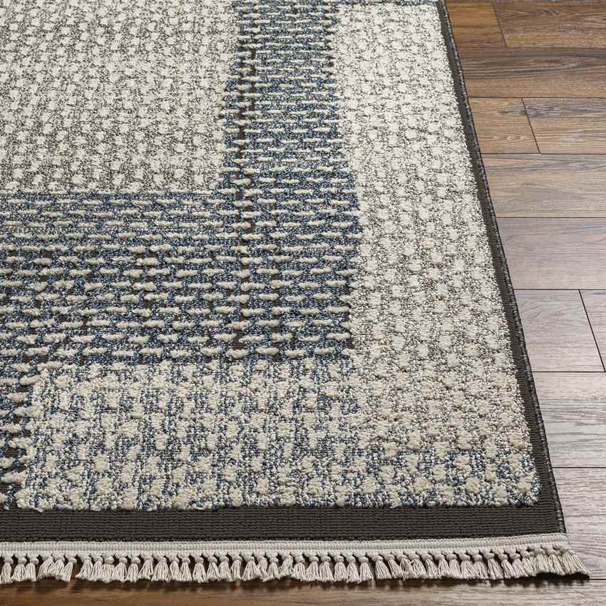 Coon Rapids Modern Ivory Area Rug