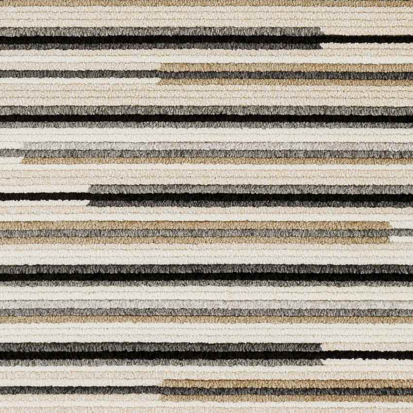 Blandville Modern Charcoal Area Rug