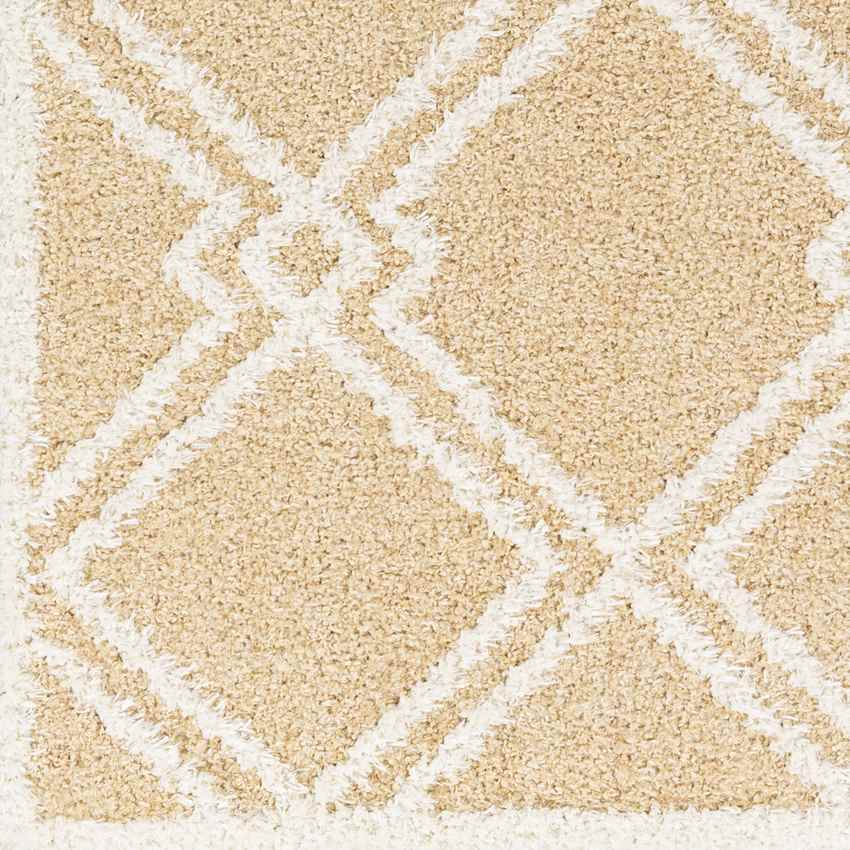 Lake Creek Modern Light Orange Area Rug