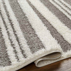 Leitchfield Modern Gray Area Rug