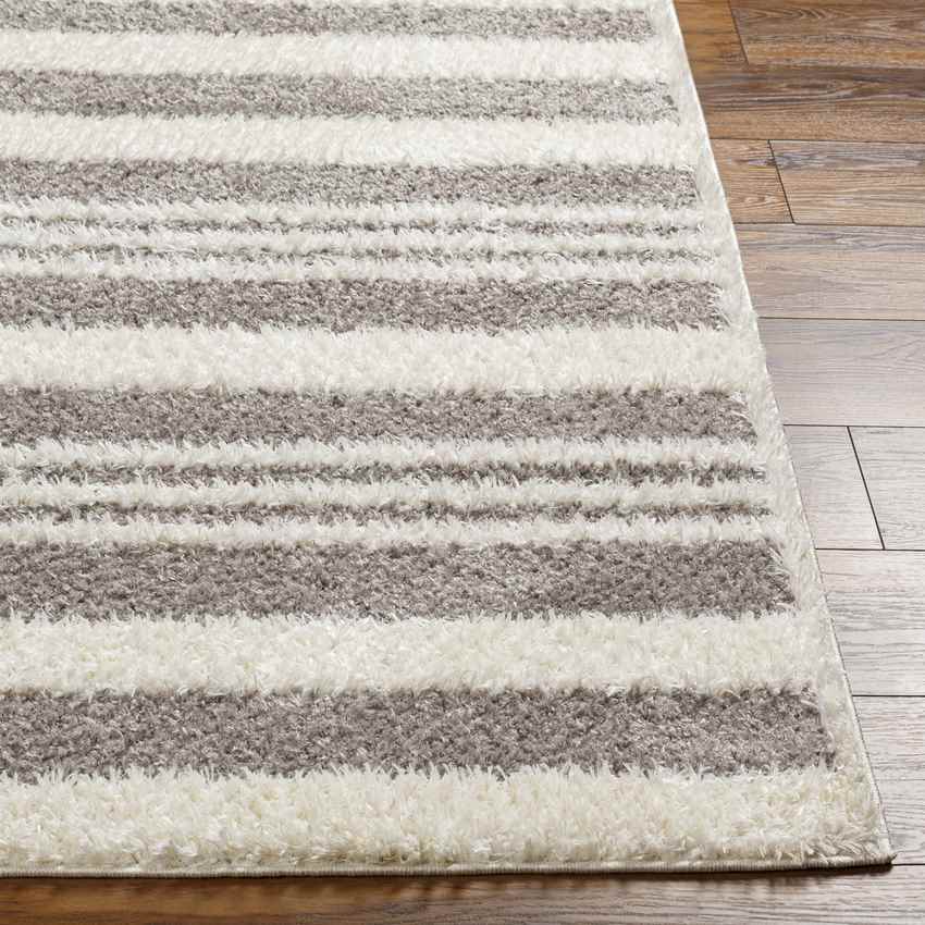Leitchfield Modern Gray Area Rug