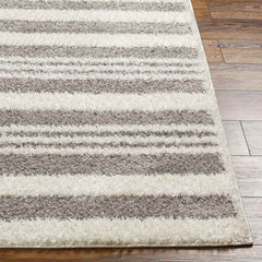 Leitchfield Modern Gray Area Rug