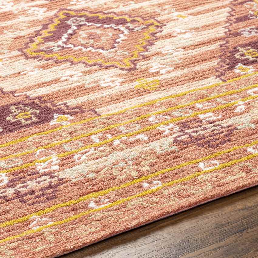 Conway Springs Traditional Coral Area Rug