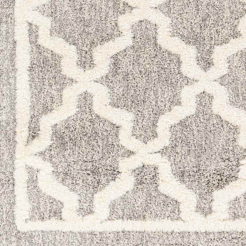 Clay Center Global Taupe Area Rug