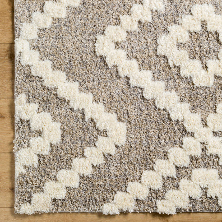 Honey Creek Global Ivory/Brown Area Rug