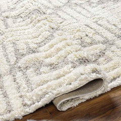 Hustonville Global Taupe Area Rug