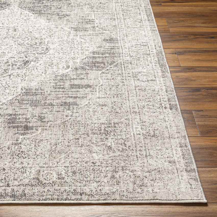 Mullinville Traditional Beige Area Rug