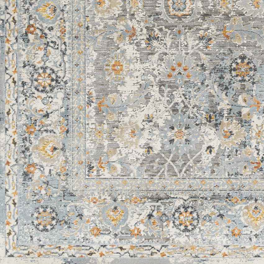 Emili Traditional Light Gray Area Rug