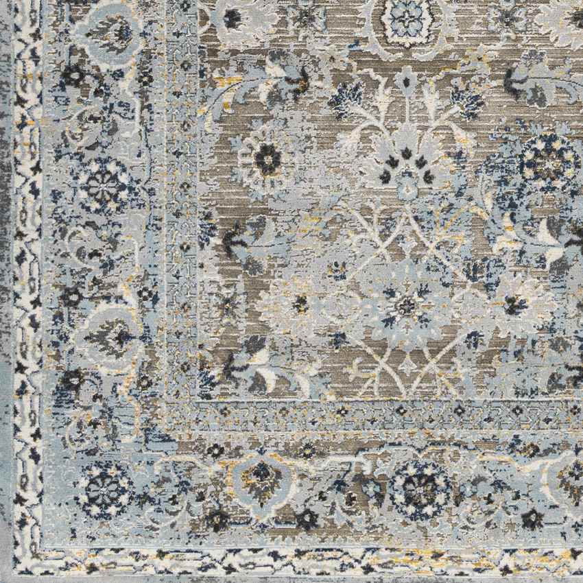 Emili Traditional Slate Gray Area Rug