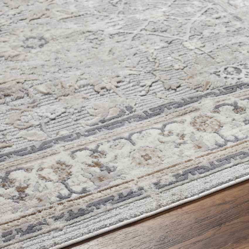 Raynette Modern Light Gray Area Rug