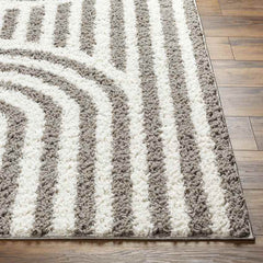 Toshiba Modern Ivory/Dark Brown Area Rug