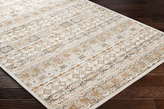 Shardey Rustic Burnt Orange/Ivory Area Rug