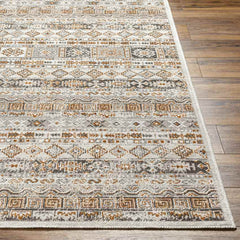 Shardey Rustic Burnt Orange/Ivory Area Rug