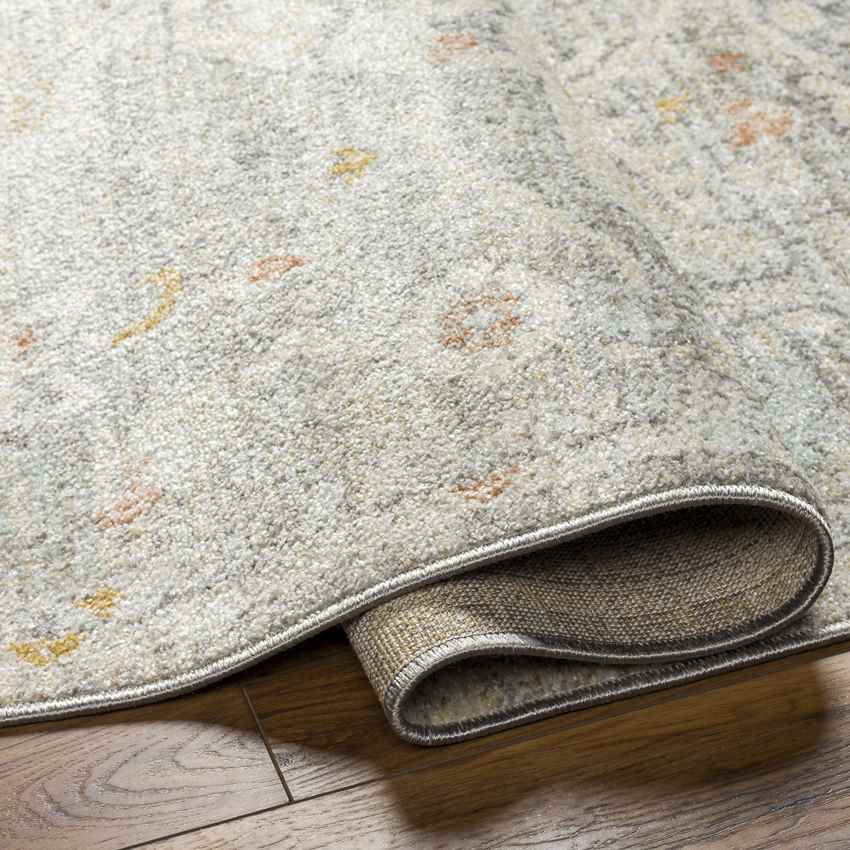 Chiffon Traditional Dusty Sage/Light Beige Area Rug