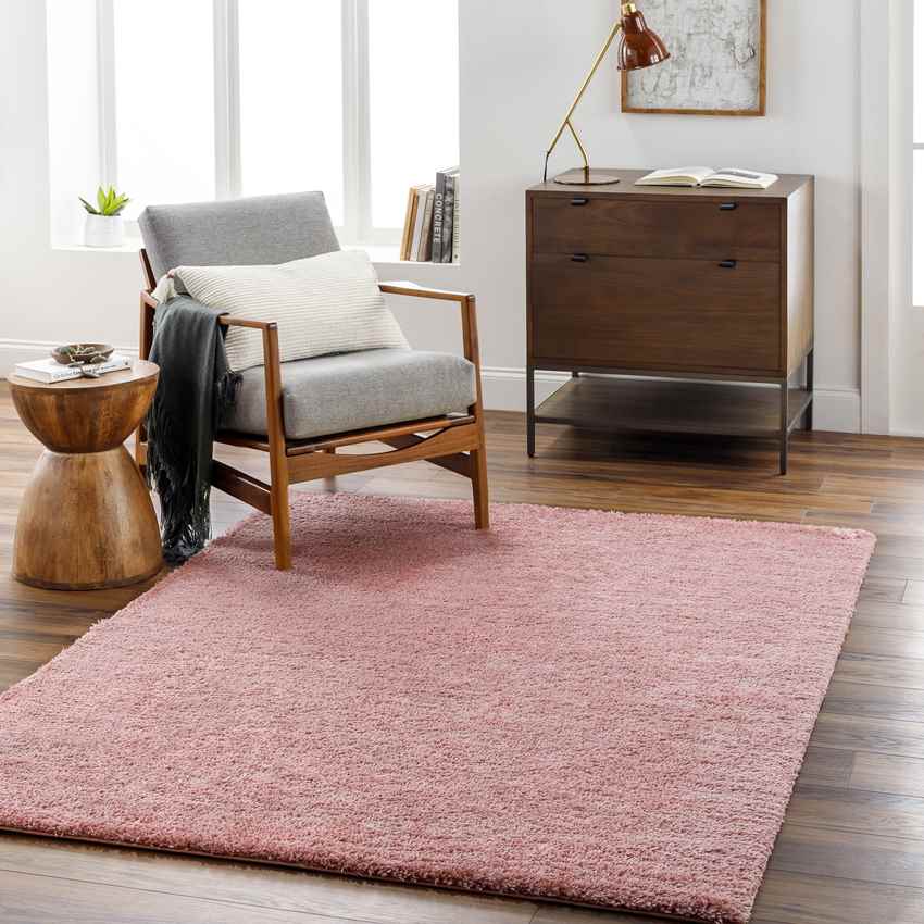 Dalon Modern Coral Area Rug