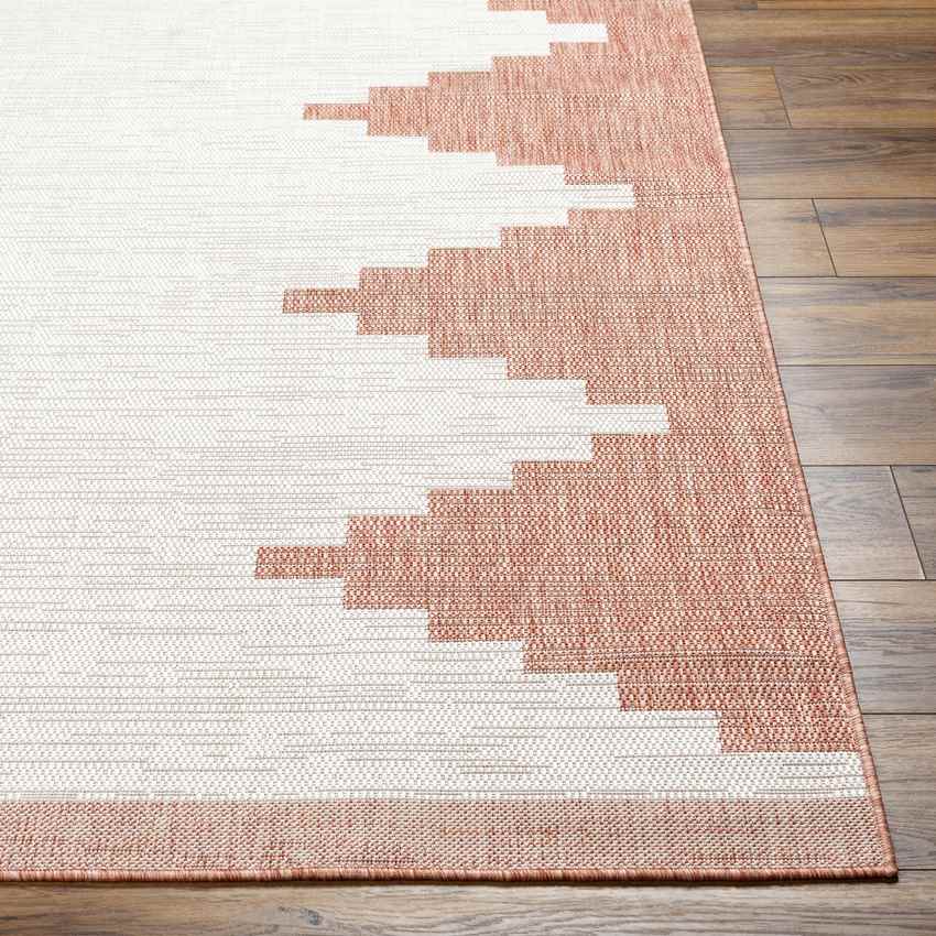 Wolfheze Global Coral/Gray Area Rug