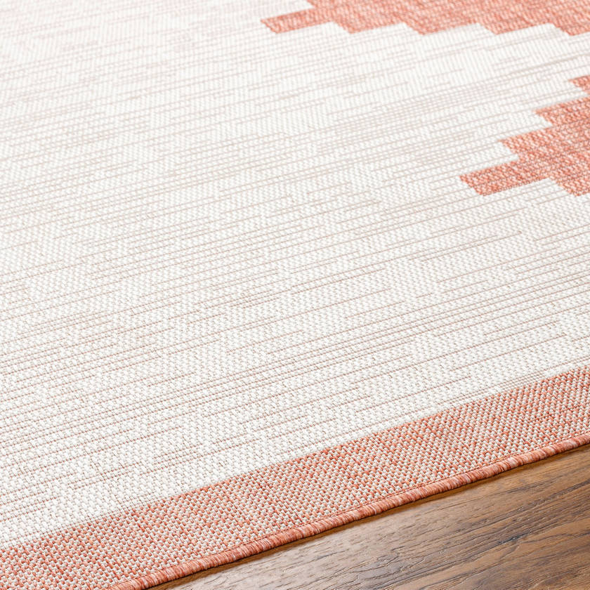 Wolfheze Global Coral/Gray Area Rug