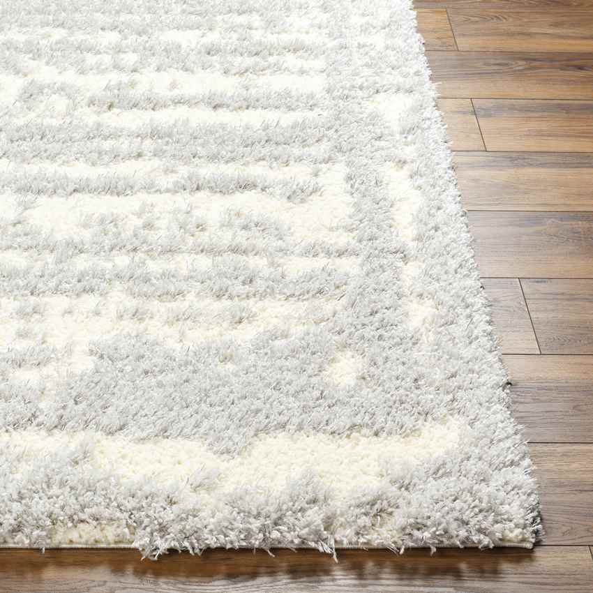 Takendra Modern Light Gray/Cream Area Rug