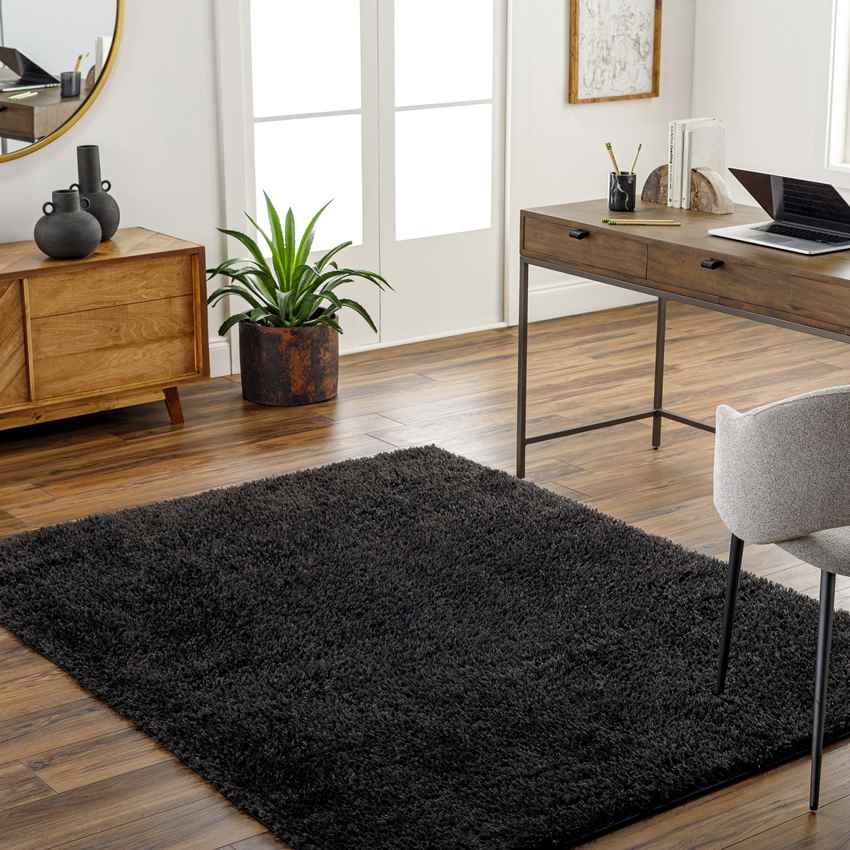 Charon Modern Black Area Rug