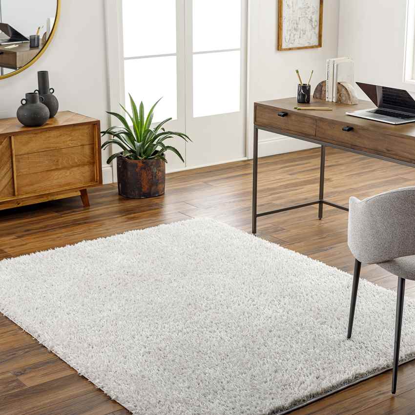 Charon Modern Silver Gray Area Rug