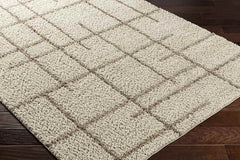 Lyndy Modern Light Brown Area Rug