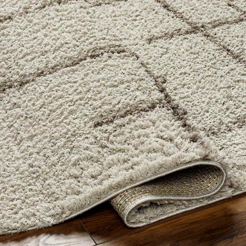 Lyndy Modern Light Brown Area Rug