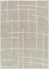 Lyndy Modern Beige Area Rug