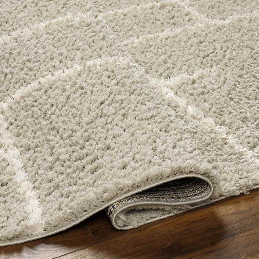 Lyndy Modern Beige Area Rug