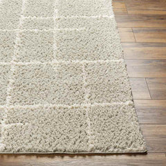 Lyndy Modern Beige Area Rug
