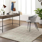 Lyndy Modern Beige Area Rug