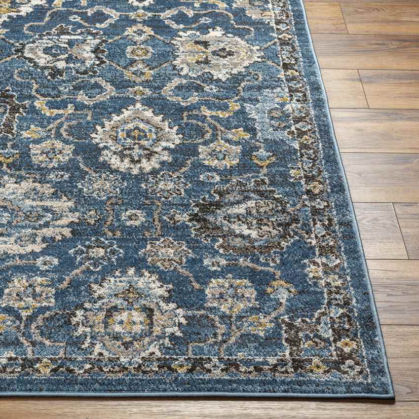 Feras Traditional Dark Teal Area Rug
