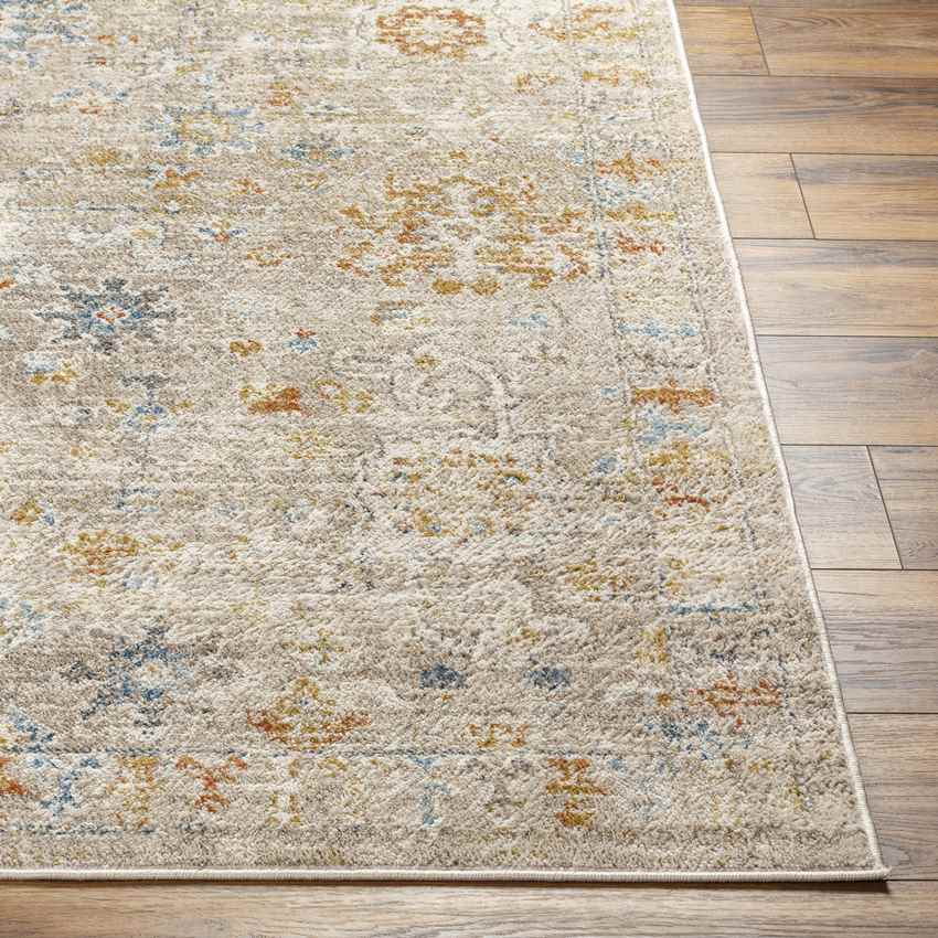 Arti Traditional Camel/Burnt Orange Area Rug