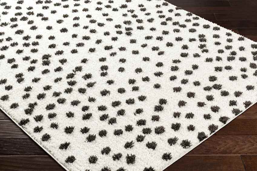 Nyisha Modern Black/Ivory Area Rug