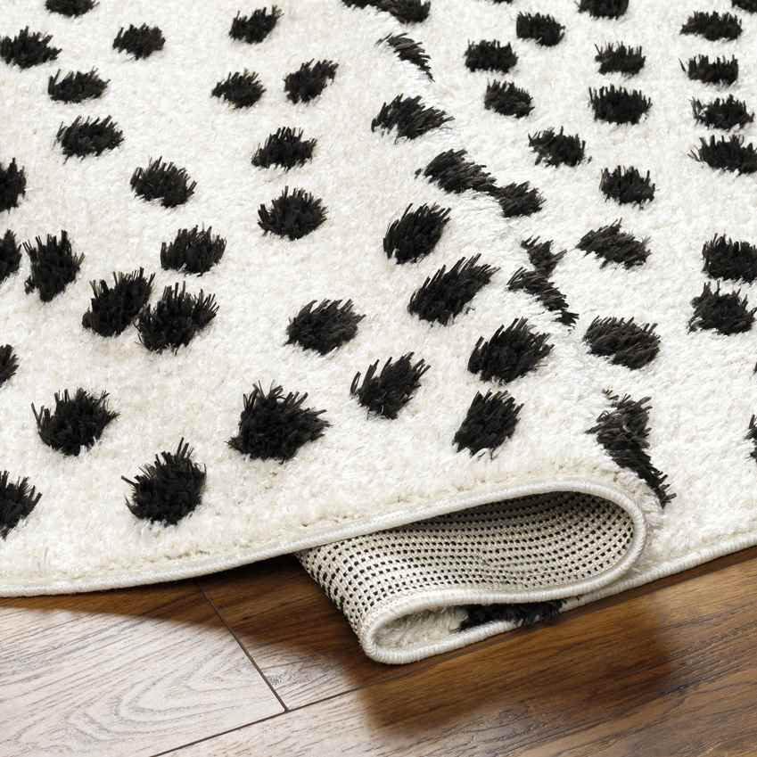 Nyisha Modern Black/Ivory Area Rug