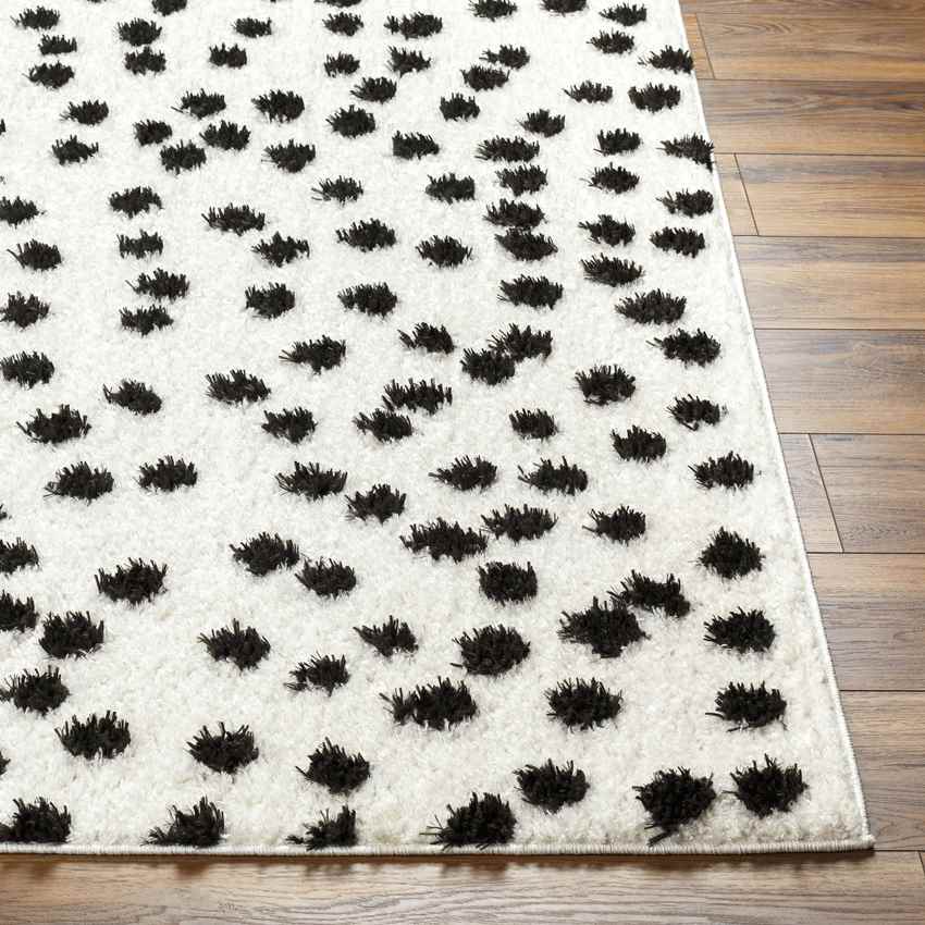 Nyisha Modern Black/Ivory Area Rug