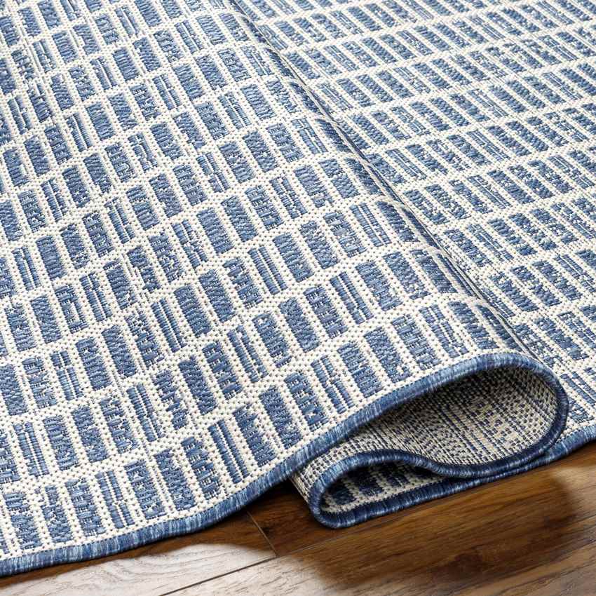 Dathan Cottage Navy/Beige Area Rug