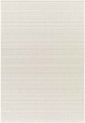 Biagio Modern Light Gray/Cream Area Rug