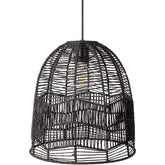 Edwrd Global Black Ceiling Lighting