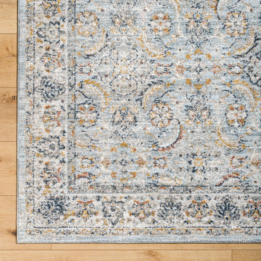 Stepfon Traditional Ice Blue Area Rug