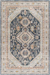 Tiwanna Traditional Charcoal Area Rug