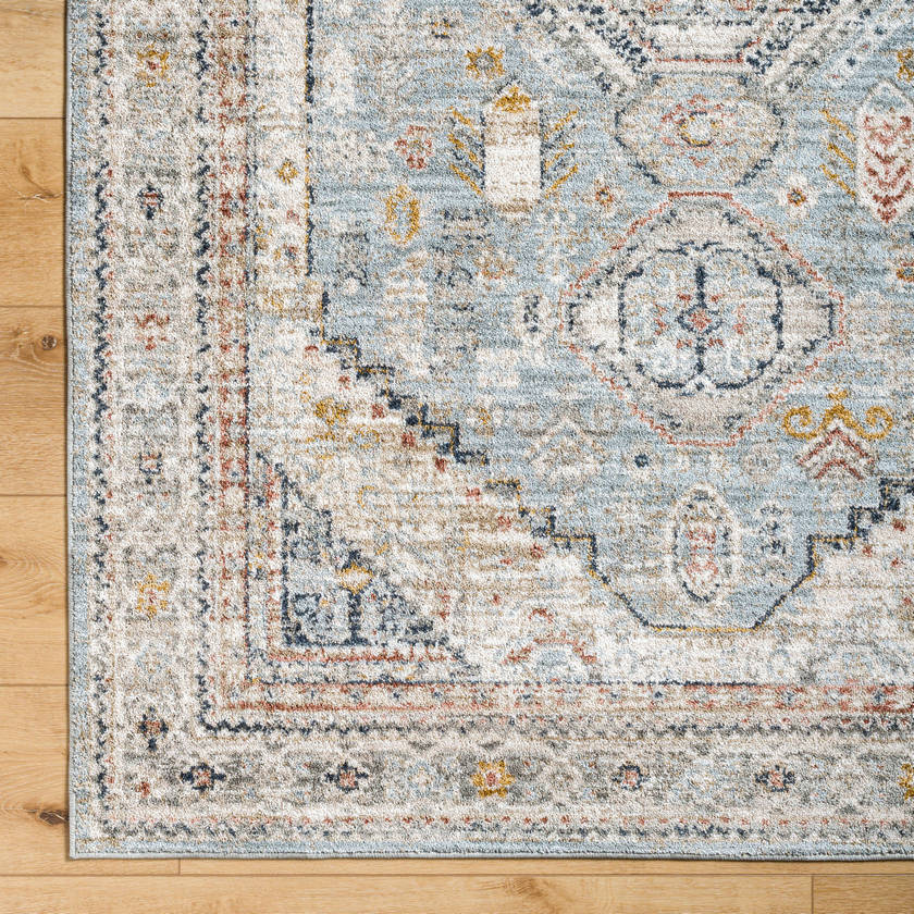 Tiwanna Traditional Pale Blue Area Rug