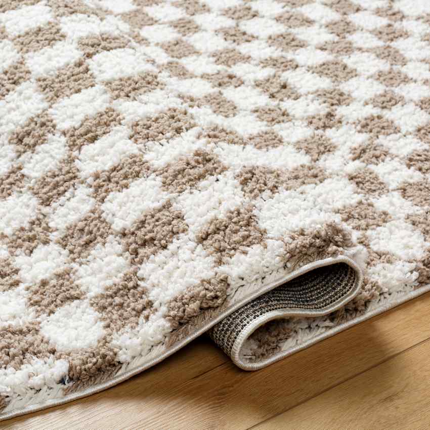 Emmitt Modern Light Brown Area Rug