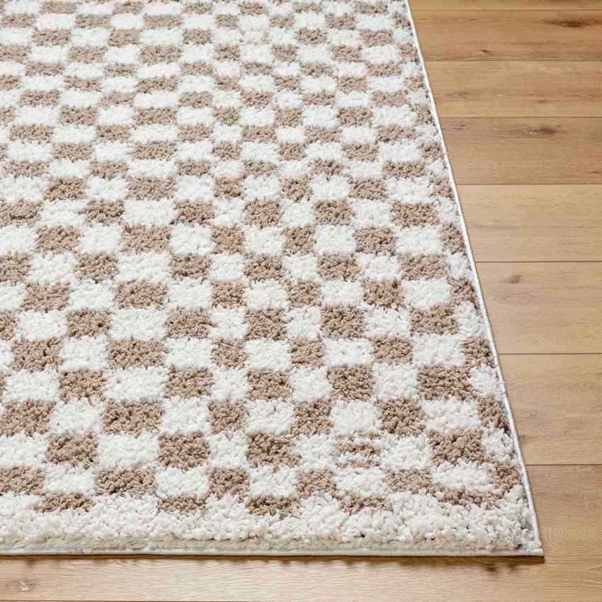 Emmitt Modern Light Brown Area Rug
