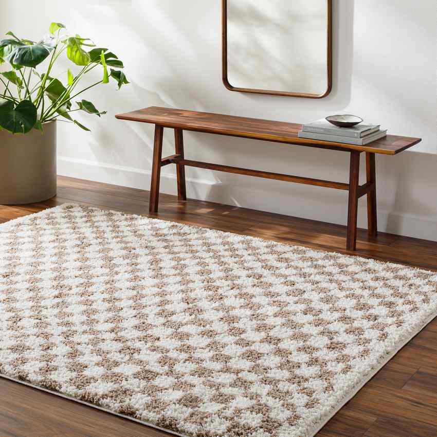 Emmitt Modern Light Brown Area Rug