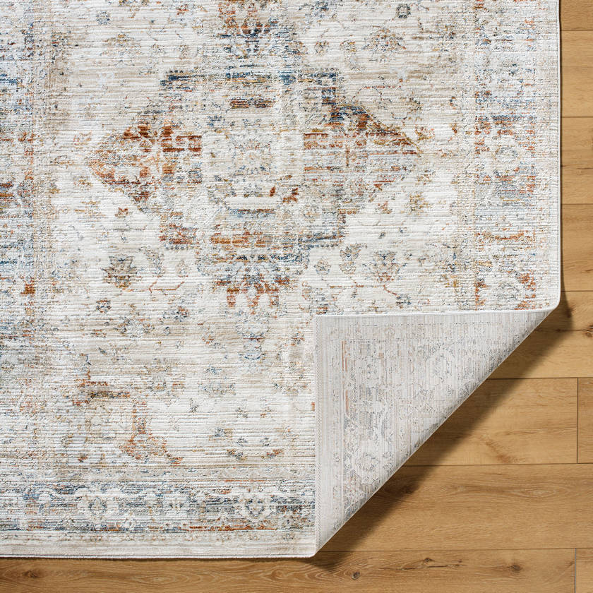 Madai Traditional Cream/Burnt Orange Area Rug