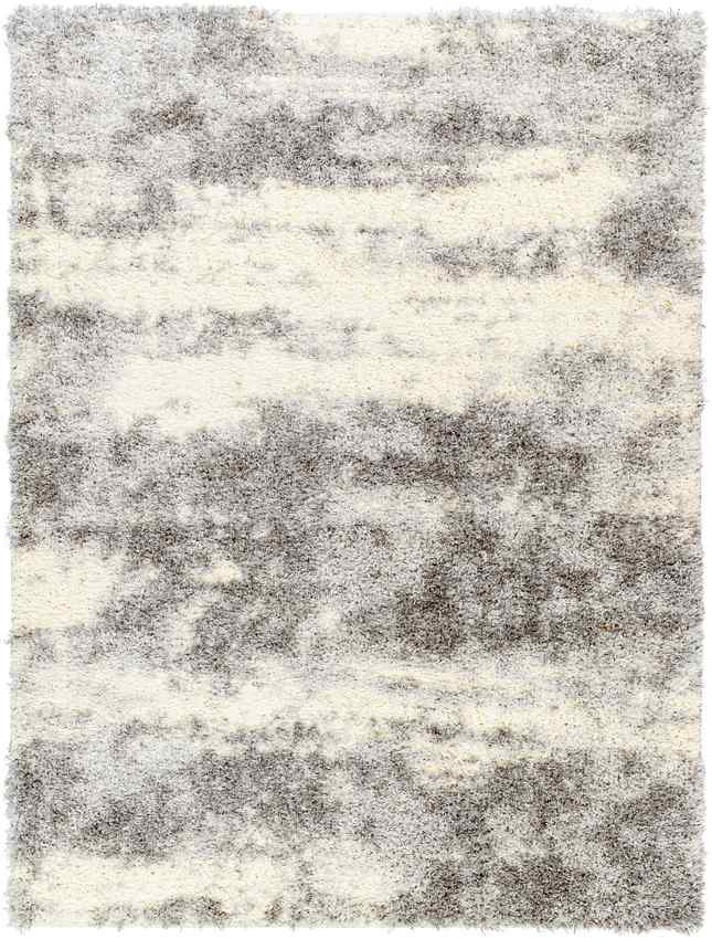Evetta Modern Light Gray Area Rug
