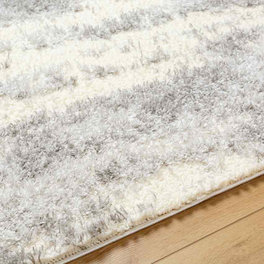 Evetta Modern Light Gray Area Rug