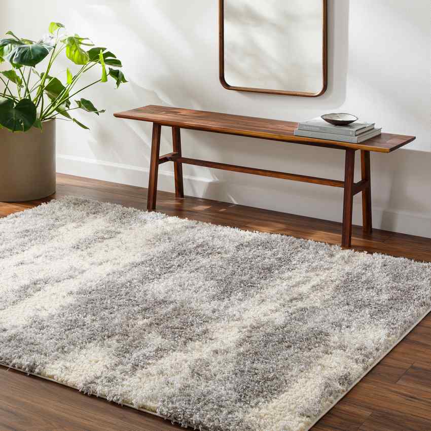 Evetta Modern Light Gray Area Rug